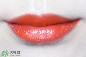 �������෻�ں�ɫ�� �������෻�ں���ɫ